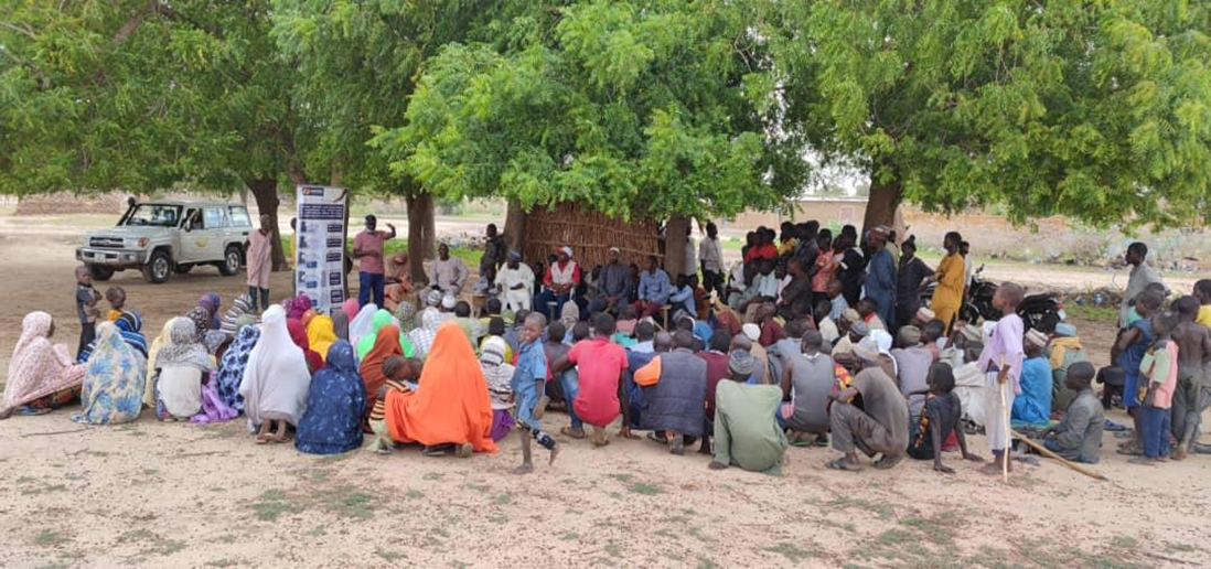 Niger_WB_MG Market Analysis